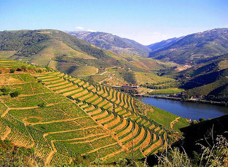 葡萄牙杜羅河（Douro，Portugal）