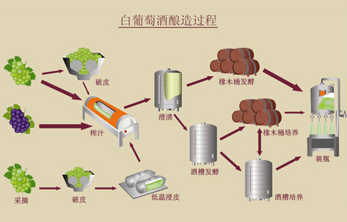 白葡萄酒的釀造過(guò)程