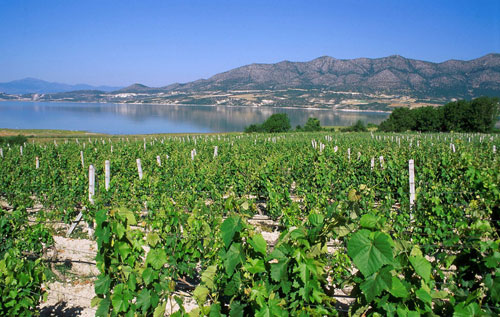 愛(ài)琴海島產(chǎn)區(qū)（Aegean Islands）