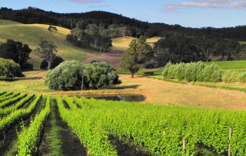 阿德萊德山區(qū)（Adelaide Hills）產(chǎn)區(qū)