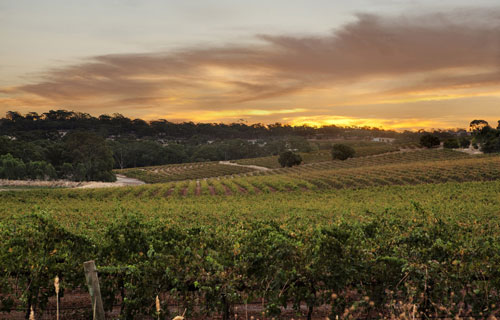 克萊爾谷（Clare Valley）葡萄酒產(chǎn)區(qū)